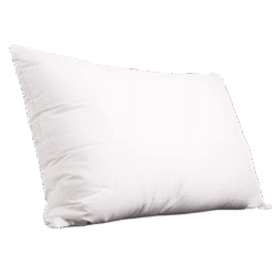 pillow insert double pack