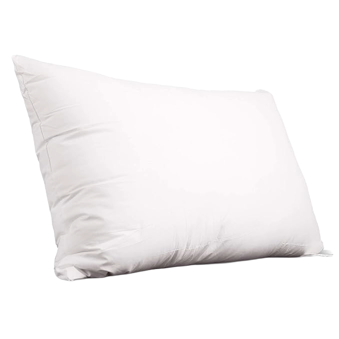 pillow insert double pack