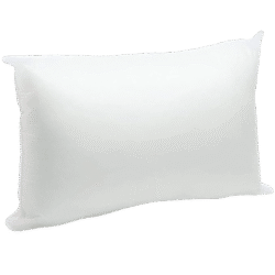 pillow insert double pack