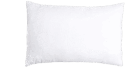pillow insert double pack