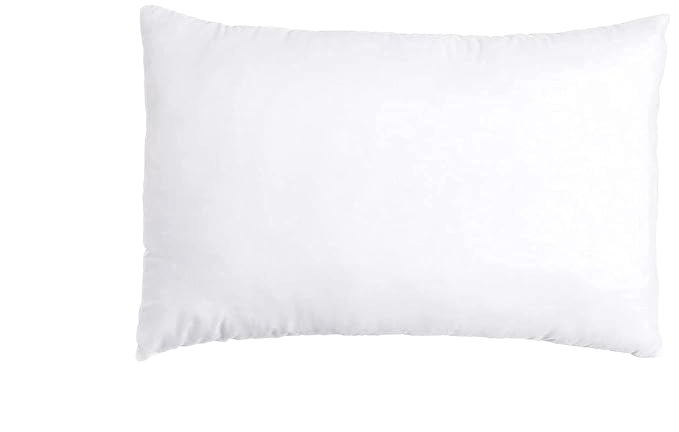 pillow insert double pack