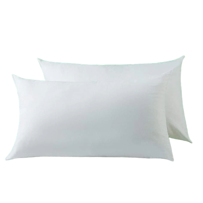 Pillow Insert Double Pack