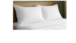 pillow insert double pack