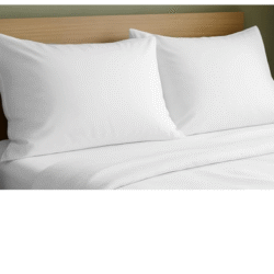 pillow insert double pack