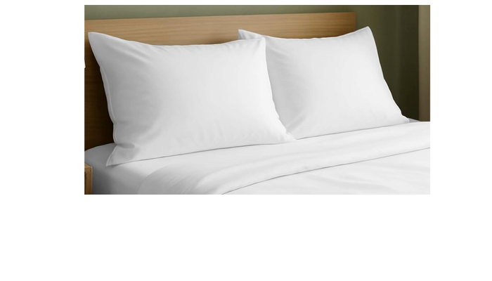 pillow insert double pack